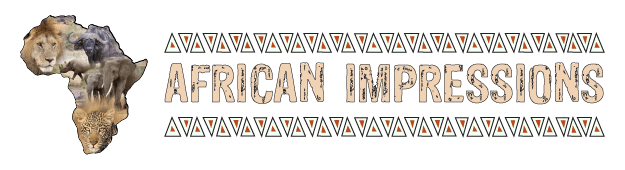 African Impressions